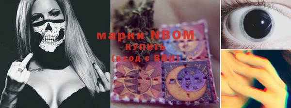 молекула духа Магадан