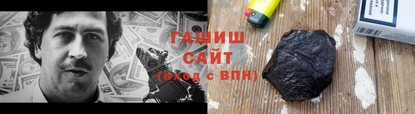 индика Мегион