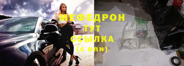 индика Мегион