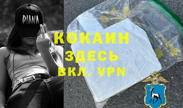 индика Мегион