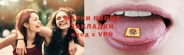 индика Мегион