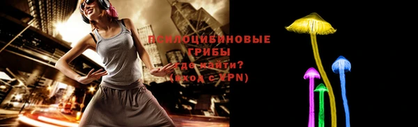 ГАЛЛЮЦИНОГЕННЫЕ ГРИБЫ Медногорск