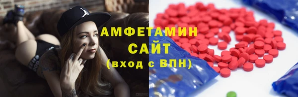 индика Мегион