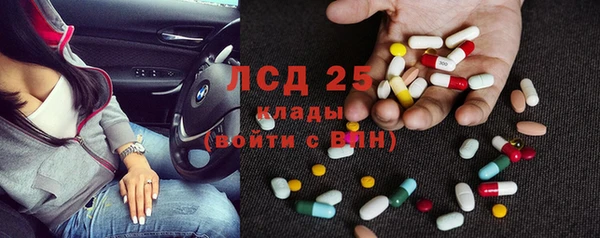 индика Мегион