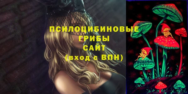 амф Медвежьегорск