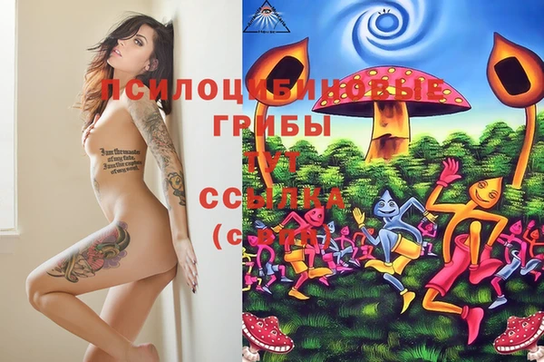 ГАЛЛЮЦИНОГЕННЫЕ ГРИБЫ Медногорск