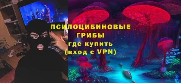 ГАЛЛЮЦИНОГЕННЫЕ ГРИБЫ Медногорск