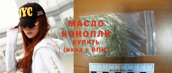 индика Мегион