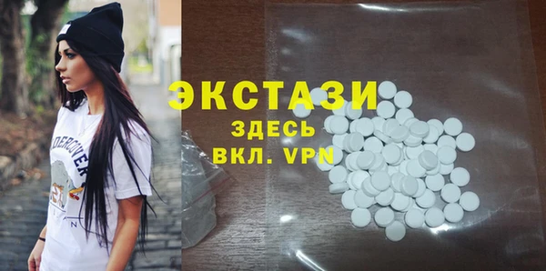 индика Мегион