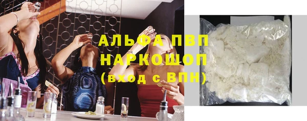 СК Великий Новгород