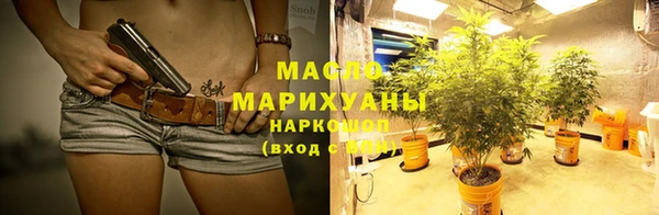 индика Мегион