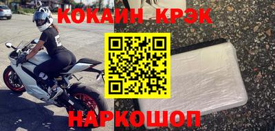 СК Кингисепп