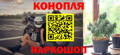 СК Кингисепп