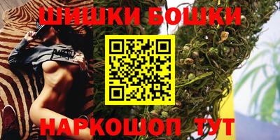 СК Кингисепп