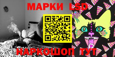 СК Кингисепп