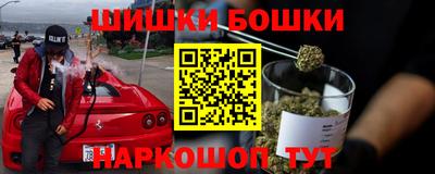 СК Кингисепп