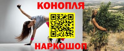 СК Кингисепп