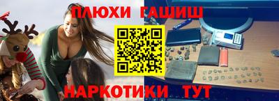 СК Кингисепп