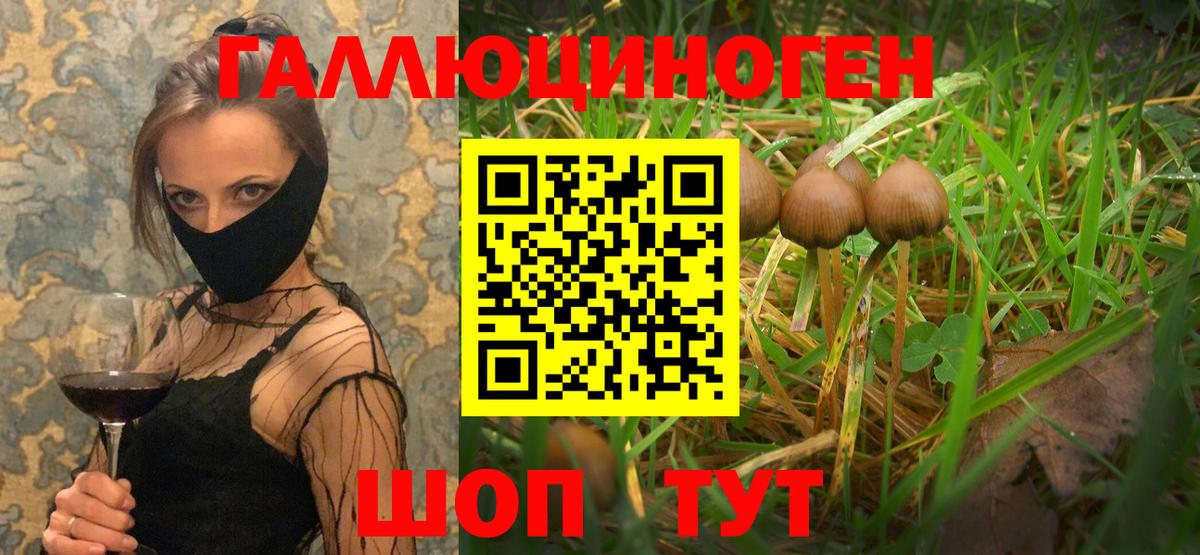 Галлюциногенные грибы ЛСД Новый Уренгой