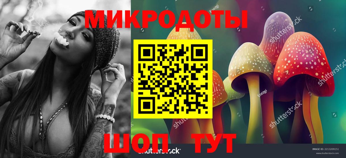 Галлюциногенные грибы прущие грибы  Вход с VPN  Галлюциногенные грибы Psilocybine cubensis  купить наркотики цена  Новый Уренгой 